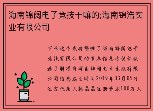 海南锦阔电子竞技干嘛的;海南锦浩实业有限公司